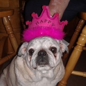 Meet your Posher, Bea